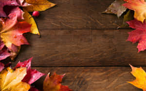 Enjoy The Bliss Of Simple Fall Wallpaper