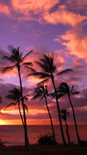 Enjoy The Breathtaking Beauty Of Hawaii From The Comfort Of Your Iphone! Wallpaper