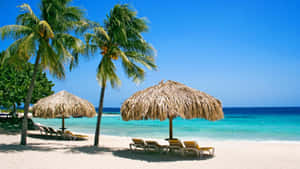 Enjoy The Caribbean Sun On Beautiful Beach Wallpaper