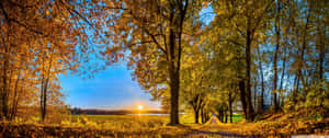 Enjoy The Colorful Landscape Of Fall Wallpaper