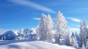 Enjoy The Enchanting Beauty Of Winter With Snow Desktop. Wallpaper