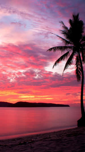 Enjoy The Golden Hour At Sunset Beach Wallpaper