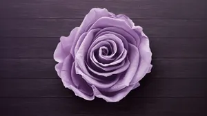 Enjoy The Latest Technology With Rose Laptop. Wallpaper
