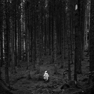 Enjoy The Majestic Beauty Of Nature In The Darkness Wallpaper