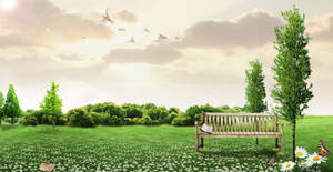 Enjoy The Peace And Quiet Of Relaxing Desktop Wallpaper