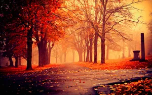 Enjoy The Perfect Fall At The Park Wallpaper