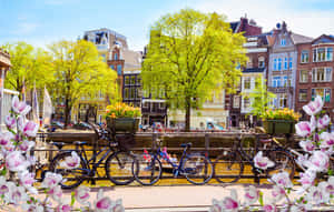 Enjoy The Picturesque And Vibrant Amsterdam During The Idyllic Springtime Wallpaper