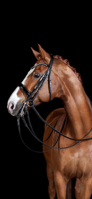 Enjoy The Sand And Surf On A Sunny Beach Wallpaper