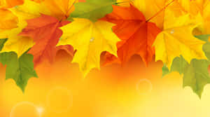 Enjoy The Scenery Of Fall Wallpaper