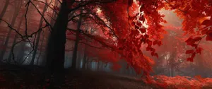 Enjoy The Scenic Splendor Of Fall Wallpaper