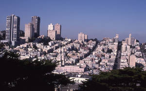 Enjoy The Stunning View From Atop Coit Tower In San Francisco Wallpaper