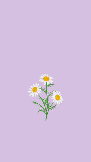 Enjoy The Sunny Season With This Cute Spring Phone Wallpaper