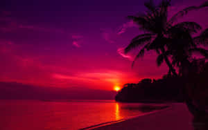 Enjoy The Tranquil Beauty Of A Beach Sunset. Wallpaper