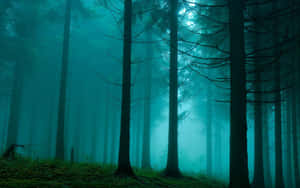 Enjoy The Tranquility And Beauty Of A Dark Green Forest Wallpaper