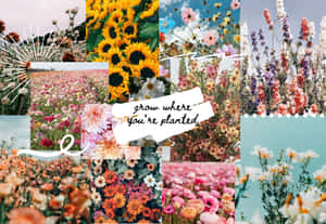 Enjoy The Vibrant Colors And Textures Of Spring Wallpaper
