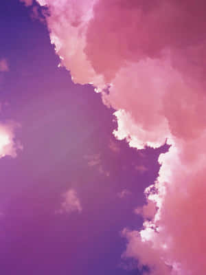 Enjoy The Wonders Of Nature With This Beautiful Field Of Pink And Purple Wildflowers! Wallpaper