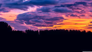 Enjoying The Beautiful Clouds After A Rain. Wallpaper