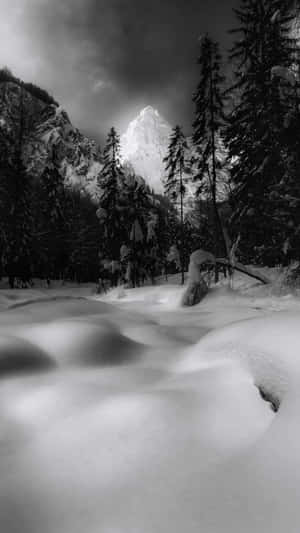 Enjoying The Beauty Of Nature In Winter Wallpaper