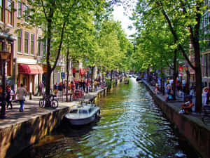 “enjoying The Blooming Beauty Of Amsterdam During Spring” Wallpaper