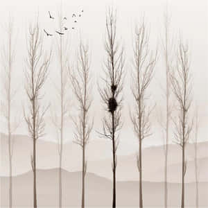 Enjoying The Peaceful Beauty Of Simple Winter Wallpaper