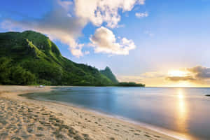 Enjoying The View At A Hawaii Beach Wallpaper