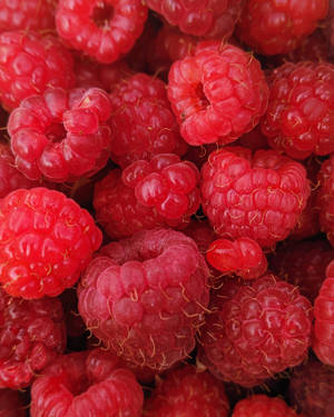 Enticing Raspberry Fruit Wallpaper