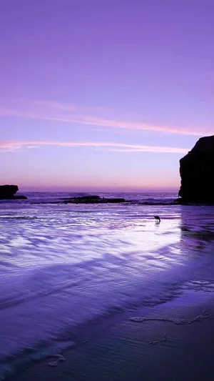 Evening Violet Sky Aesthetic Iphone 11 Wallpaper