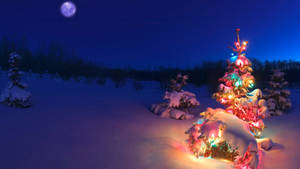 Evening Winter Merry Christmas Hd Wallpaper