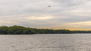 Everglades National Park Lake Wallpaper