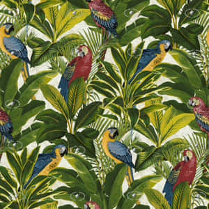 Exotic Colorful Birds [wallpaper] Wallpaper