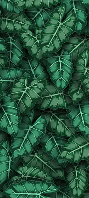 Exotic Leaves Art [wallpaper] Wallpaper
