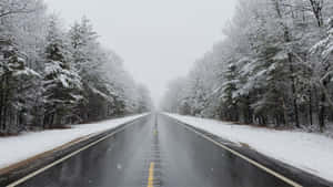 Experience The Beauty Of A Winter Forest Wallpaper