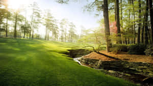 “experience The Beauty Of Augusta National Golf Course” Wallpaper