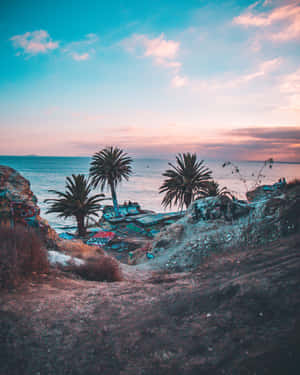 Experience The Beauty Of California's Aesthetic! Wallpaper