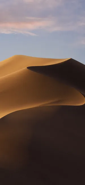Experience The Beauty Of The Desert With An Iphone Wallpaper