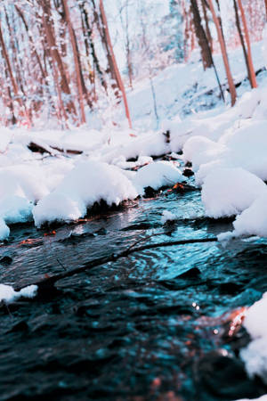 Experience The Magic Of The Winter Season With This Cute Iphone Wallpaper. Wallpaper