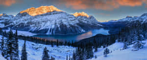 Experience The Majesty Of The Mountains Wallpaper