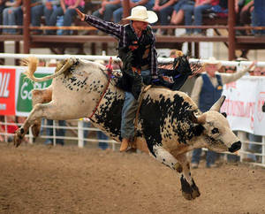 Experience The Thrill Of Bull Riding Wallpaper