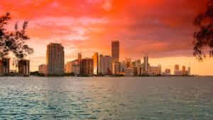 Experience The Vibrant Beauty Of Miami Wallpaper