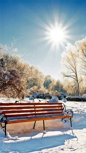 Experience The Winter Wonderland With The Iphone 6 Plus! Wallpaper