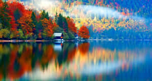 Experiencing The Beauty Of Fall Colors Wallpaper