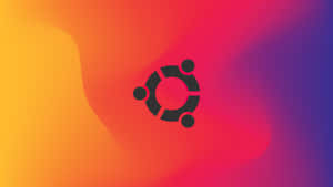 Explore A World Of Computing With Ubuntu 4k Wallpaper