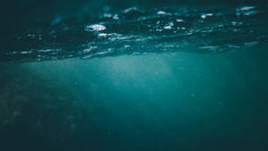 Explore Nature's Marvels Underwater Wallpaper