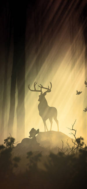 Explore Nature With Your Deer Iphone Wallpaper