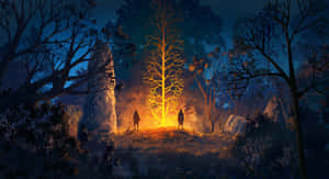 Explore The Mystique Of A Nighttime Forest Wallpaper