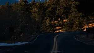 Explore The Strange, Dark Beauty Of Nature Wallpaper