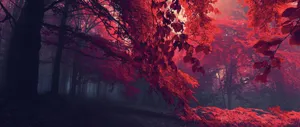 Explore The Tranquil Beauty Of The Mystical Forest Wallpaper