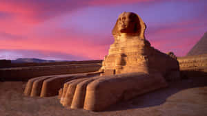 Explore The Wonders Of Ancient Egypt. Wallpaper