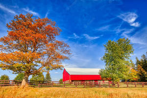 Exploring The Beauty Of A Fall Farm Wallpaper