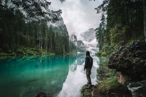 Exploring The Endless Possibilities Of Google Wallpaper